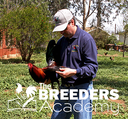 Kenny Troiano, Master Breeder and Author