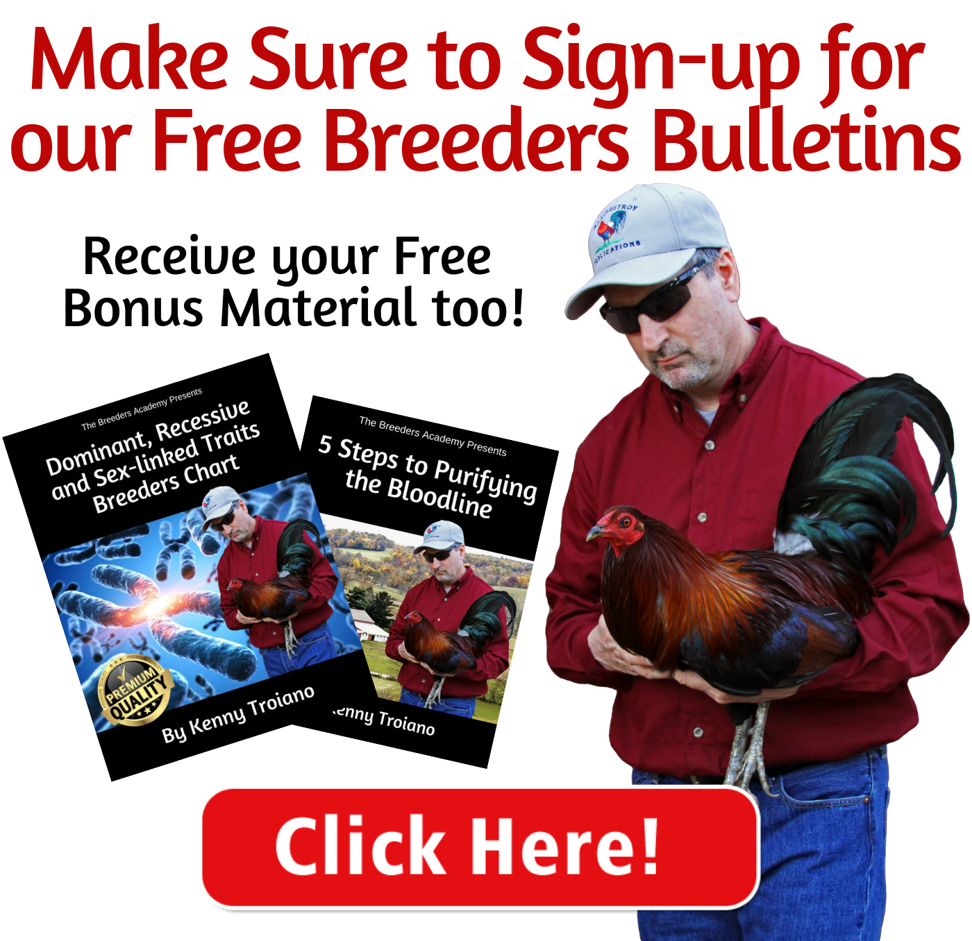 By subscribing to our free Breeders Bulletins you will receive our weekly newsletter, and many bonus materials. It is our goal to keep you informed and to deliver great information on the breeding of American Games, and to help you get started on the right foot. 