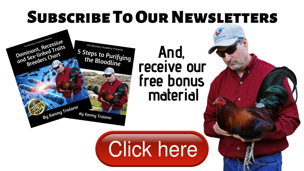 By subscribing to our free Breeders Bulletins you will receive our weekly newsletter, and many bonus materials. It is our goal to keep you informed and to deliver great information on the breeding of American Games, and to help you get started on the right foot. 